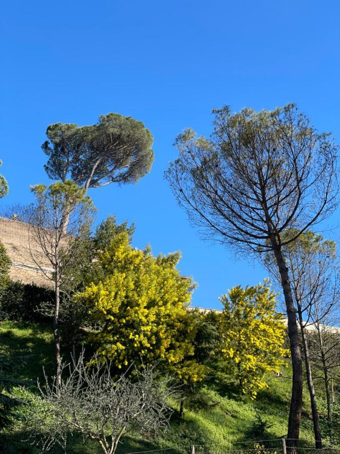 Vatican Green Holidays House Rome Bagian luar foto